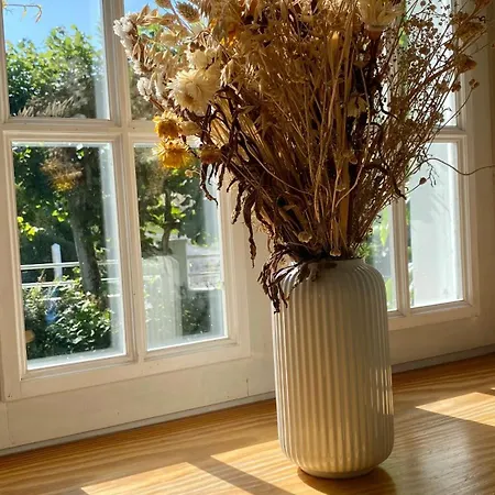 Cap Blanc-nez - 6 Personnes - Animaux Acceptés