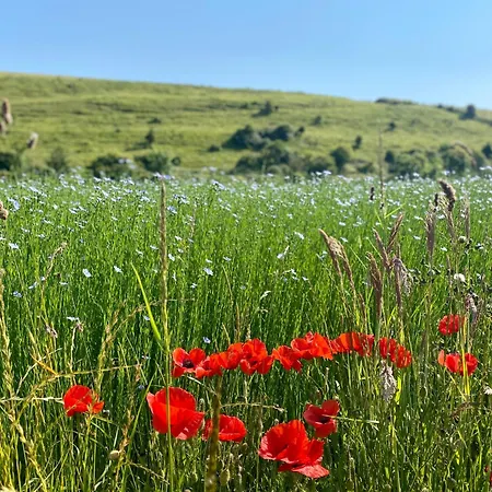 Cap Blanc-nez - 6 Personnes - Animaux Acceptés Сasa de vacaciones