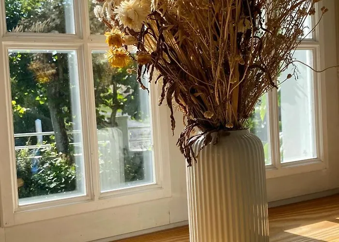 Cap Blanc-nez - 6 Personnes - Animaux Acceptés