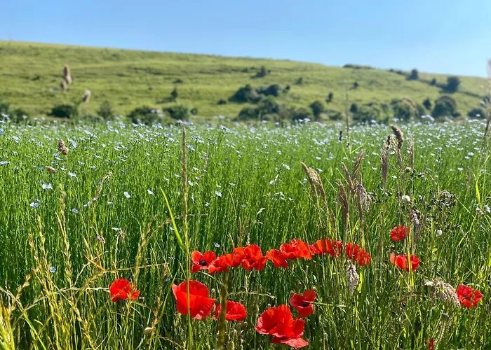 Cap Blanc-nez - 6 Personnes - Animaux Acceptés Hébergement de vacances